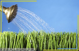 Полив / Irrigation